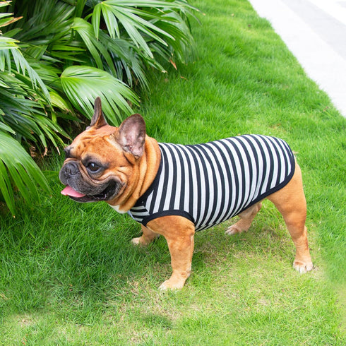iChoue French Bulldog 100% Breathable Cotton Striped T Shirts Summer Cooling Vest Clothes for Medium Dogs Tank Tops Frenchie Pug English Boston Te...