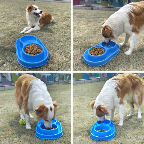 PetLike Ants Away Double Cat Dog Pet Water and Food Bowls,6cups /48oz Cat Dog Feeding Bowl Pet Food Dish for Puppy Medium larger Dogs Cats (Blue, ...