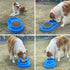 PetLike Ants Away Double Cat Dog Pet Water and Food Bowls,6cups /48oz Cat Dog Feeding Bowl Pet Food Dish for Puppy Medium larger Dogs Cats (Blue, ...