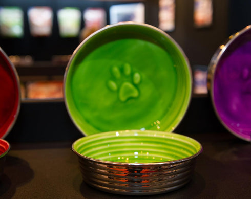 Loving Pets - Le Bol Dog Food Water Bowl Enamel Ceramic Bowl No Tip Stainless Steel Pet Bowl No Skid Spill Proof (Large, Chartreuse)...