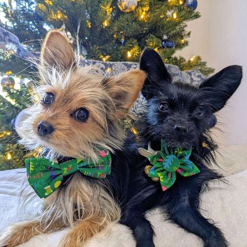 Huxley & Kent Bow Tie for Pets | Merry & Bright (Small) | Christmas Holiday Velcro Bow Tie Collar Attachment | Fun Bow Ties for Dogs & Cats | Cute...