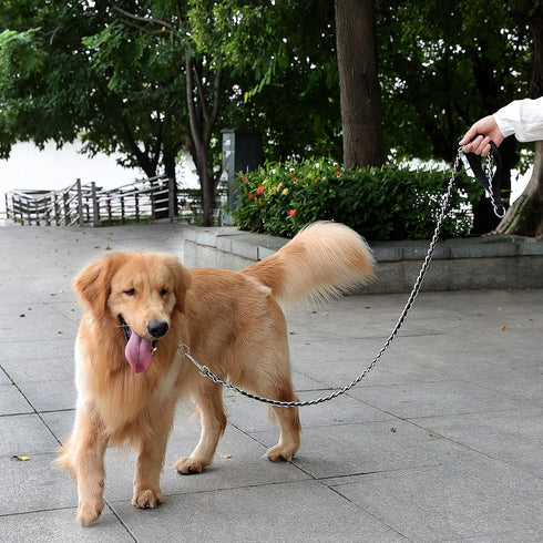 Chew Proof Metal Leash Chain Dog Leash for Medium Large Dogs, Chain Link Dog Leash Anti Chew 4FT Strong Anti Bite Dog Leash Comfortable Soft Padde...