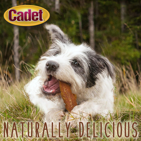 Cadet Gourmet Chicken Breast Dog Treats - Healthy & Natural Chicken Dog Training Treats for Small & Large Dogs - Inspected & Tested in USA (14 oz....