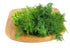 Culinary Herb Seeds Collection, 4 Heirloom Non GMO Varieties, Basil, Cilantro, Dill, Parsley....