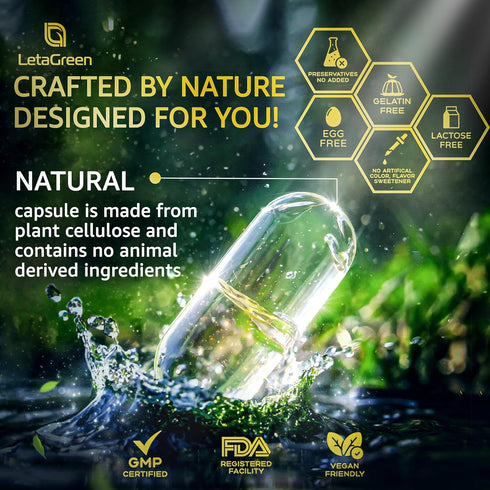 Organic Lions Mane Supplement Capsules - 120 Real Mushrooms Lion's Mane Capsules with Ginkgo Biloba Herb, Bacopa Monnieri - Nootropics Brain Suppo...