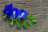Bluechai Butterfly Pea Flower Powder - Natural Blue Food Coloring - 100% Blue Matcha - Pure Powdered Butterfly Pea. Perfect for Beverages, Cakes a...