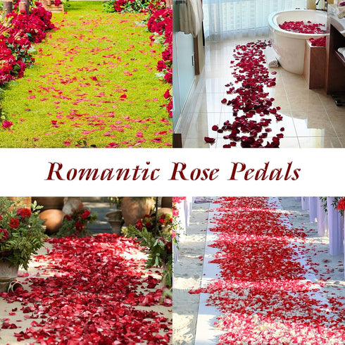 Childom 3000 Pcs Silk Rose Petals, Rose Flower Petals Decorations, Fake Rose Petals Roses Artificial Flowers Petals for Wedding, Valentines, Roman...