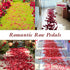 Childom 3000 Pcs Silk Rose Petals, Rose Flower Petals Decorations, Fake Rose Petals Roses Artificial Flowers Petals for Wedding, Valentines, Roman...