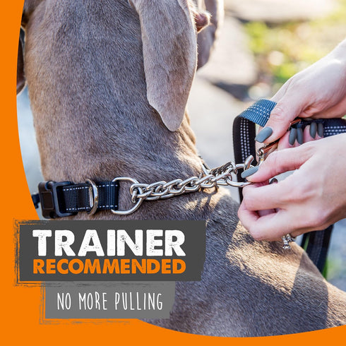 Mighty Paw Martingale Dog Collar 2.0 | Trainer Approved Limited Slip Collar with Stainless Steel Chain & Heavy Duty Buckle - Modified Cinch Collar...