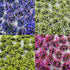 Woohome 4 Pack Miniature Colorful Flower Cluster Self Adhesive Flower Vegetation Groups Static Grass Tufts for Train Landscape Railroad Scenery Sa...