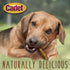 Cadet Gourmet Beef Hide Twist Chew Sticks, Long Lasting & Natural Chew Treats for Dogs, Inspected & Tested in USA, Chicken Flavor (22 Count)...