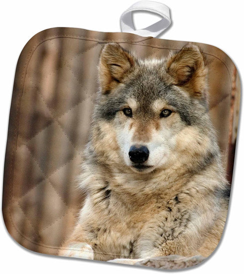 3D Rose Gray Wolf-Folsom City Zoo-California-Us05 Tau0105-Tananarive Aubert Pot Holder, 8" x 8"...