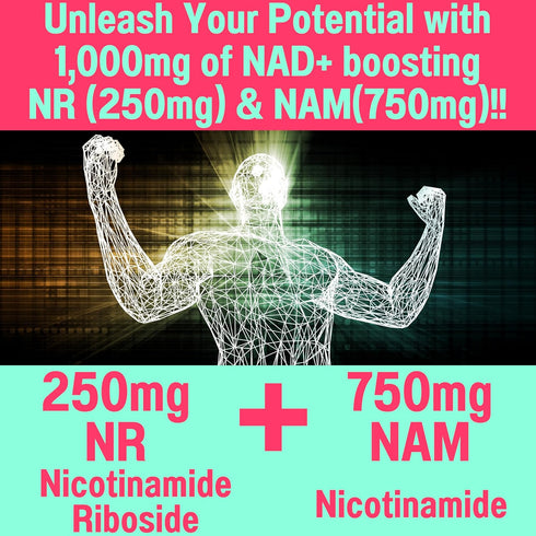 Nicotinamide Riboside NR NAM Resveratrol Gummies, 1000mg NAD+ NAD + Plus Nrf2 Activator Booster w Pure Niacinamide Vitamins B3 Capsules Pills Powd...
