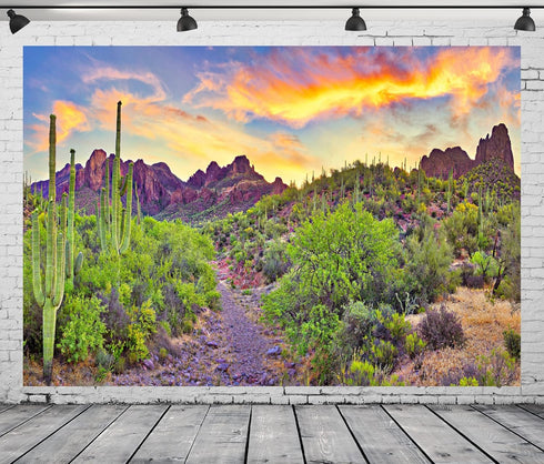 BELECO 7x5ft Fabric National Park Arizona Desert Backdrop Fire-Like Sky Mountain Landscape Green Plants Saguaro Cactus Photography Background West...