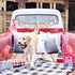 Fringe Studio Plush Dog Toy, Durable, Play Like A Champion, Pet Shop Collection (729084)...