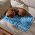 Kritter Planet Waterproof Cooling Dog Mat, Soft Cooling Pet Blanket for Summer, Lightweight Cooling Outdoor Mat, Reversible Furniture Cover Couch ...
