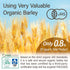 Organic Barley Tea Bags -Caffeine Free & Vegan, 100% Natural Japanese Tea, Sugar Free Mugicha 30 LARGE TEA BAGS?YAMASAN?...