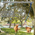 Dog Bungee Tug Toy Hanging Dog Rope Toy Indoor Outdoor Pull Interactive Toys with 1 DIY Chew Rope for Small Medium to Large Dogs...