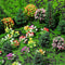 55 Pcs Miniature Colorful Flower Cluster Mini Model Trees Artificial Grass Mat Squares Set 36 Flower Tufts 15 Mixed Train Diorama Trees 4 Garden C...