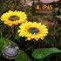 DAZZLE BRIGHT Sunflower Shape Solar LED Lights, 2 Pack Garden Waterproof Decorative with Stake for Outdoor Yard Pathway Outside Patio Lawn...