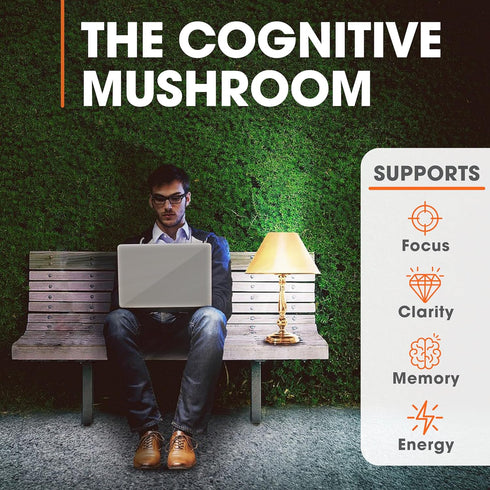 Genius Lions Mane Supplement Capsules - Organic Nootropic Supplement, 1200mg per Serving – 120 Veggie Pills...