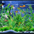 Fish Tank Accessories Aquarium Decorations Green Plants, 25pcs Green Fish Tank Decorations Plant, Fish Tank Decor, Aquarium Decor Plastic Plants...