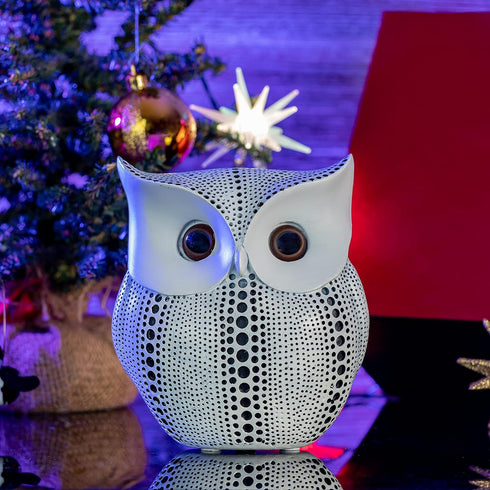 Ornativity White Owl Statue Figurine - Animal Sculpture Home Decoration Figure for Bedroom Living Room Kitchen Office Bathroom House Decor Figurin...