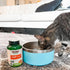 NOW Pet Health, L-Lysine Supplement, Powder, Formulated for Cats, NASC Certified, 8-Ounce...