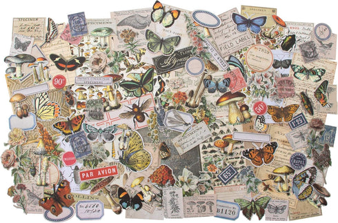 Tim Holtz Idea-ology EPHEMERA PACK IDEA-O FIELDNOTES, Field Notes...