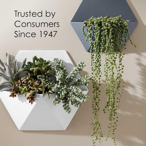 1/2 pt Krylon K05605007 Black COLORmaxx Paint & Primer, Gloss...