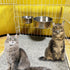 Kennel Stainless Steel Bowls Hanging Crate Durable Anti-Spill Food Feeder Dish Water Bowl 2PCS Quick Lock Cage with Clamp Holder for Small Sized D...