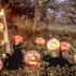 Pet Fit For Life Decorative Black Metal Cats for Outdoor Garden and Yard - Iron Silhouettes with Reflective Green Eyes - Set of 3 with Stakes and ...