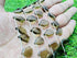1 Strand Smoky Quartz 11 Pcs Beads Size 3x11-3x16mm Fancy Shape Cut Faceted Beads for Jewellery Making, Beading & Craft Supplies KCRAFTS-RK_k24...