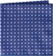 Forget Me Not Pocket Square Handkerchief (Blue)...