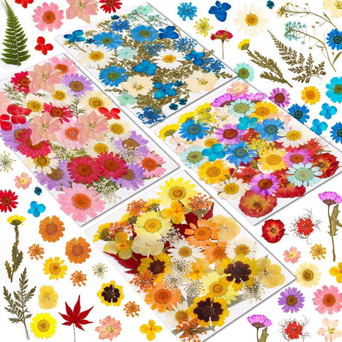 Real Dried Pressed Flowers for Resin, Natural Dry Flowers Leaves Bulk Herbs Kit for DIY Scrapbooking Stamping Supplies Epoxy Resin Jewelry Molds C...
