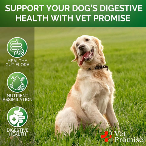 Probiotics for Dogs - Dog Probiotics and Digestive Enzymes for Gut Health, Itchy Skin, Allergies, Immunity, Yeast Balance - Prebiotics - Reduce Di...