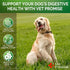 Probiotics for Dogs - Dog Probiotics and Digestive Enzymes for Gut Health, Itchy Skin, Allergies, Immunity, Yeast Balance - Prebiotics - Reduce Di...