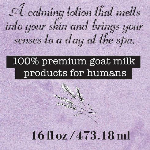 Premium Goat Milk Lotion Natural Skincare Body Hand and Face rejuvenating and cleansing moisturizer (Lavender, 8 oz)...