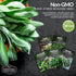 Survival Garden Seeds - Italian Herb Collection Seed Vault - Basil, Oregano, Thyme, Sage, Flat Leaf Parsley - Non-GMO Heirloom Varieties of Culina...