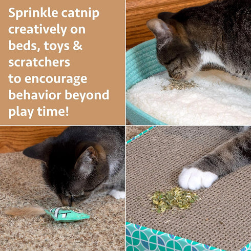 Kitty City Cat Premium Natural Catnip Tin, Premium Catnip Bag, Catnip with Silvervine, Catnip Spray...
