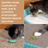 Kitty City Cat Premium Natural Catnip Tin, Premium Catnip Bag, Catnip with Silvervine, Catnip Spray...