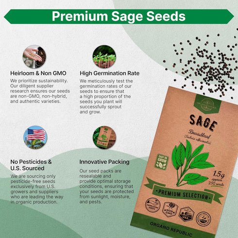 Sage Seeds Pack 1.5 G - Over 250 Non-GMO Heirloom Sage Seeds for Planting Herbs in Individual Seed Packet, Herbs Seeds for Planting Home Garden In...