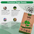 Sage Seeds Pack 1.5 G - Over 250 Non-GMO Heirloom Sage Seeds for Planting Herbs in Individual Seed Packet, Herbs Seeds for Planting Home Garden In...