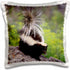 3dRose pc_92146_1 North America, USA, Montana. Skunk wildlife-US27 TVE0005-Tom Vezo-Pillow Case, 16 by 16"...
