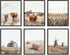 HAUS AND HUES Highland Cow Art and Farmhouse Wall Decor - Unframed Cow Painting and Prints, Farm Pictures...