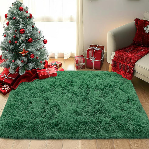 Small Rugs for Bedroom, 2x3 Fluffy Bedroom Rug, Soft Fuzzy Area Rug for Living Room Dorm, Non Slip Shag Rugs for Girls Boys Bedroom, Soft Kids Car...