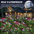 Solar Garden Lights - Solar Outdoor Lights Butterfly Design 82 LED Firefly Lights, Solar Stake Lights Waterproof IP65 & Auto ON/Off, Outdoor Decor...