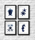 Gnosis Picture Archive Dark Navy Blue Beach Wall Decor Set of 4 Unframed Seahorse Starfish Beach Bathroom Art Prints...