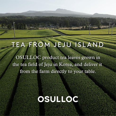 OSULLOC Tangerine Tea (Fresh Jeju Tangerine Flavor), Fruit tea Blend, Premium Teabags from Jeju Island, 20 count...