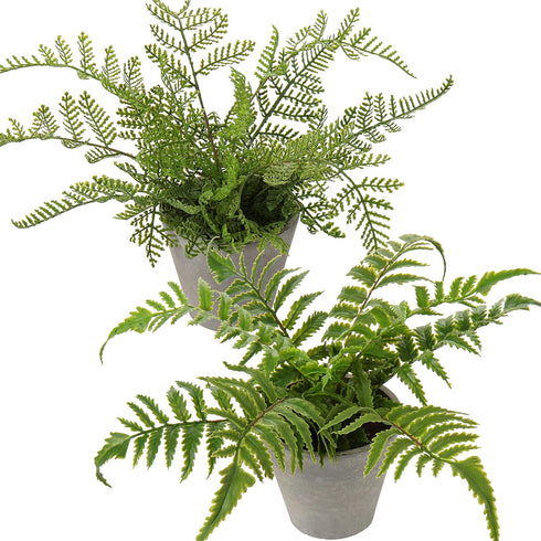 Briful 2PCS Fake Plants Potted Artificial Plants Greenery Faux Fern Eucalyptus Décor Plant for Indoor Home Office Bathroom Harmhouse Decoration...